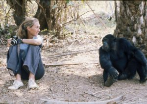 Jane Goodall jeune