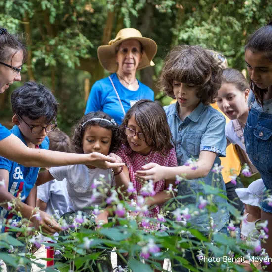Les petits explorateurs #2 Les forêts