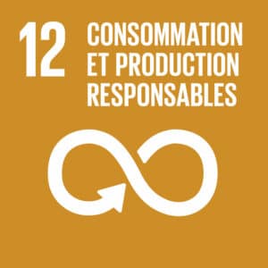 objectif de développement durable 12 carre