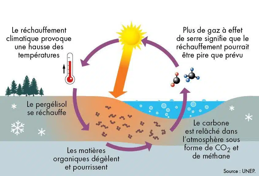 Le cycle du carbone - comprendre le permafroste