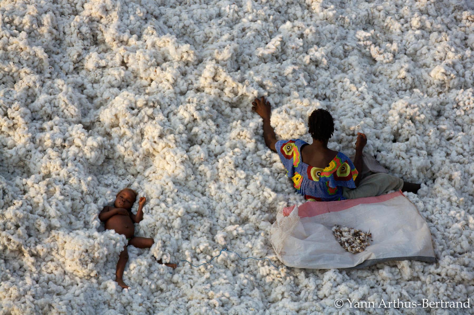 Cotton-picking near the town of Banfora, Burkina Faso (10°36'N - 4°47'W) copyright Yann Arthus-Bertrand