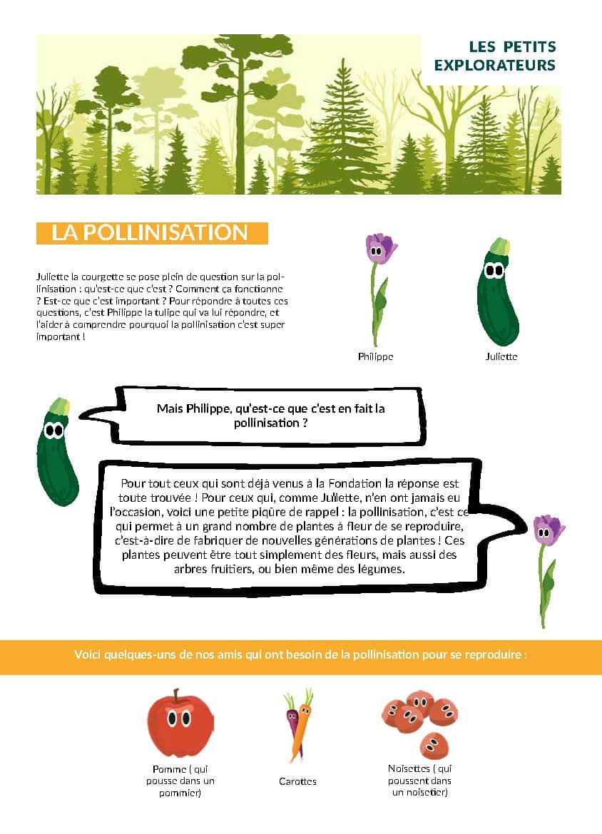 Infographie les petits explorateurs