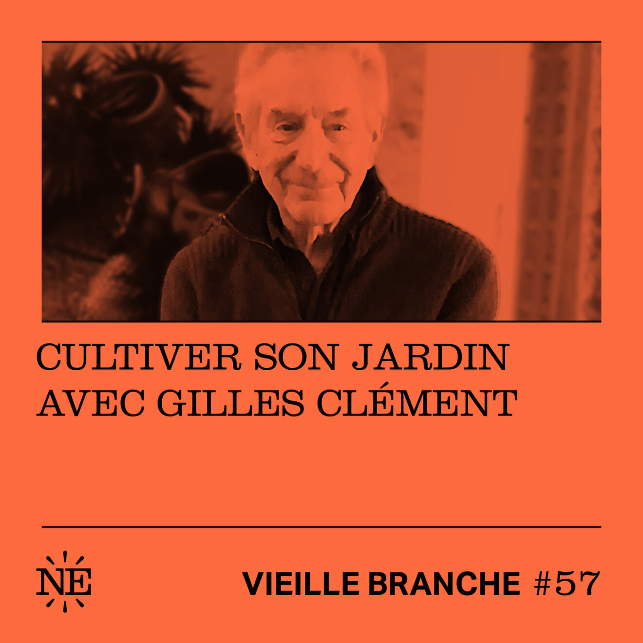 Vieille branche - G. Clément