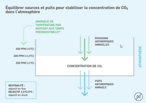 équilibrer sources et puits pour stabiliser la concentration de co2 dans l'atmosphère - Photo Net Zero Initiative