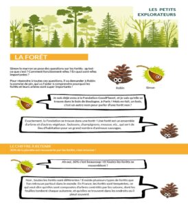 infographie explorons les forêts