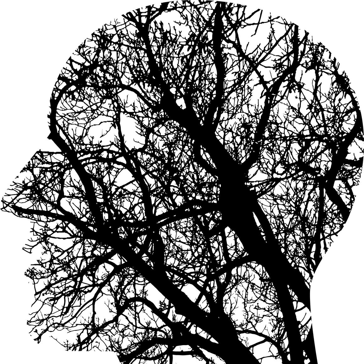 unknown-1769656_1280