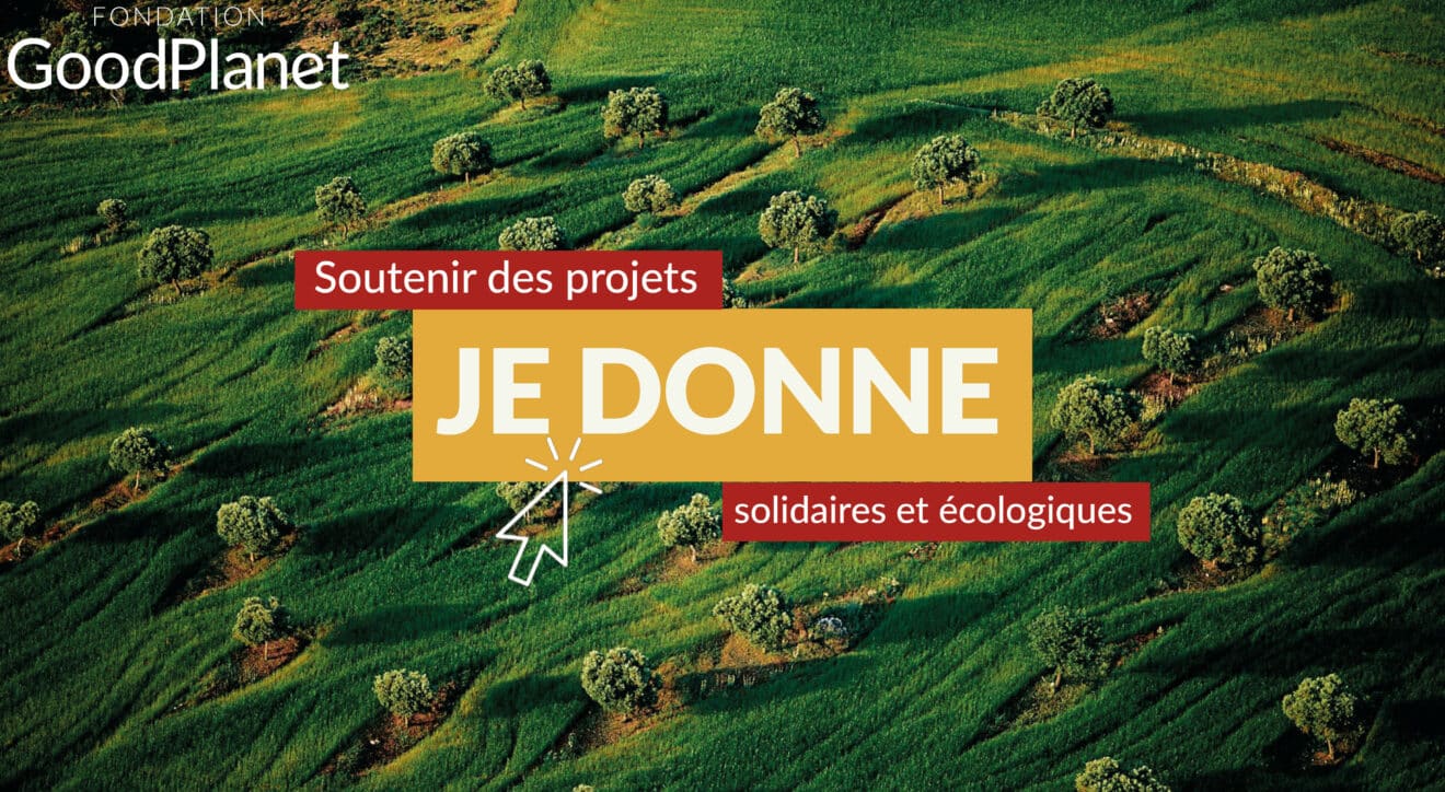 DON newsletter