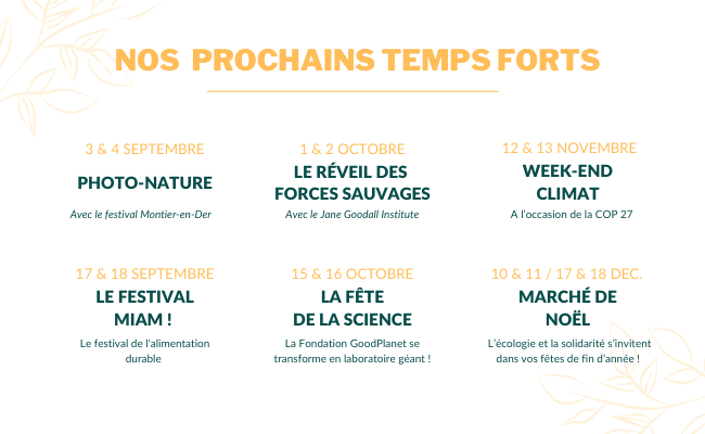 TAILLE IMG NEWSLATTER (12)