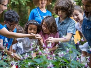 Enfants participant à un atelier sur la biodiversité à la Fondation GoodPlanet