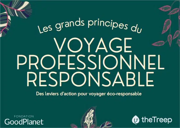 Les grands principes du voyage professionnel responsable