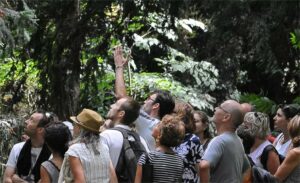 Ateliers et Team Building entreprise en pleine nature à Paris - carre