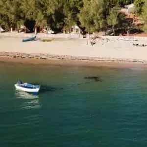 bateau près de recif corallien à Madagascar - ACS - carre