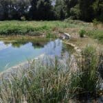 preserver-et-restaurer-la-biodiversite-dans-les-fermes-de-la-drome