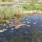 preserver-et-restaurer-la-biodiversite-dans-les-fermes-de-la-drome