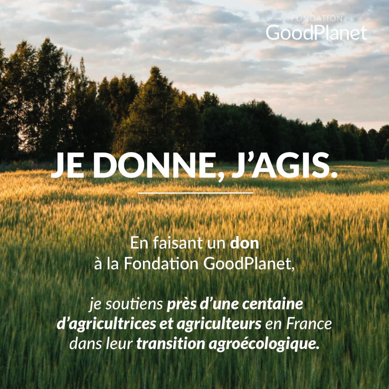 Visuels - Appels aux dons - Décembre 2022