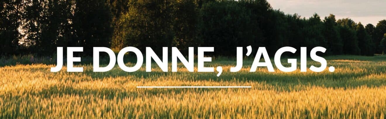 Visuels - Appels aux dons - Décembre 2022 - champ - 1800px