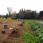 Chantier de plantation en cours en périphérie d'une parcelle.