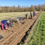 6 hommes et femmes sont en train de planter des arbres en périphérie d'une parcelle.