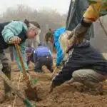 Plusieurs personnes équipées de gants et de pelles plantent des arbres sur une parcelle agricole.