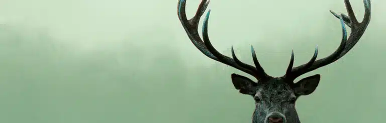 Header à la rencontre du vivant