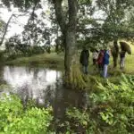 Plusieurs personnes sont regroupées au bord d'une mare.