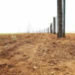 Vue du sol d'une rangée d'arbustes fraîchement plantés en périphérie d'une parcelle.