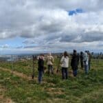 Visite bout de champ du GIEE de viticulteurs