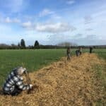 Chantier de plantation d'arbres dans un champ