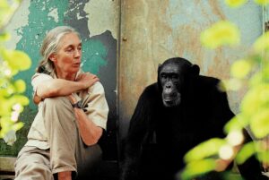 Jane Goodall à Paris