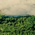 Forêt du Népal, La terre vue du ciel, © Yann Arthus-Bertrand