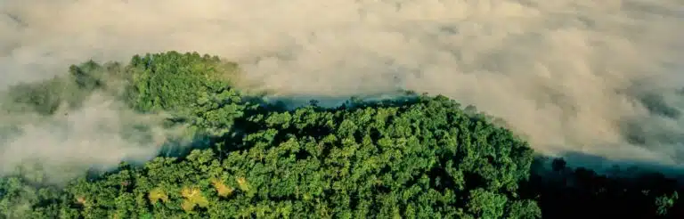 Forêt du Népal, La terre vue du ciel, © Yann Arthus-Bertrand