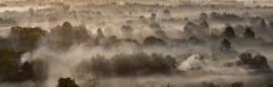 Forêt du Cambodge vue du ciel avec brume, © Yann Arthus-Bertrand