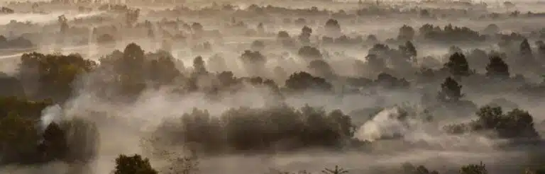 Forêt du Cambodge vue du ciel avec brume, © Yann Arthus-Bertrand