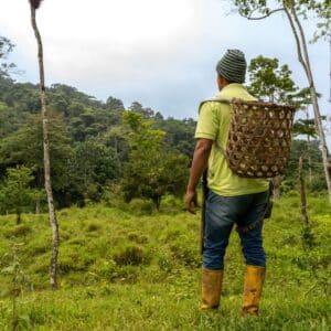 Personne de dos dans la zone de Canandé, forêt en équateur