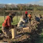 Plantation de haies agroforestières